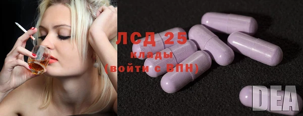 ПСИЛОЦИБИНОВЫЕ ГРИБЫ Алексин