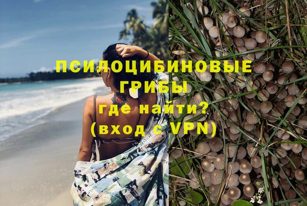 ПСИЛОЦИБИНОВЫЕ ГРИБЫ Алексин