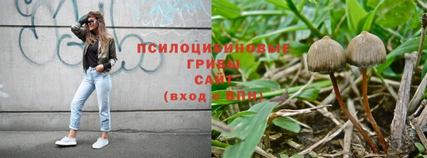 ПСИЛОЦИБИНОВЫЕ ГРИБЫ Алексин