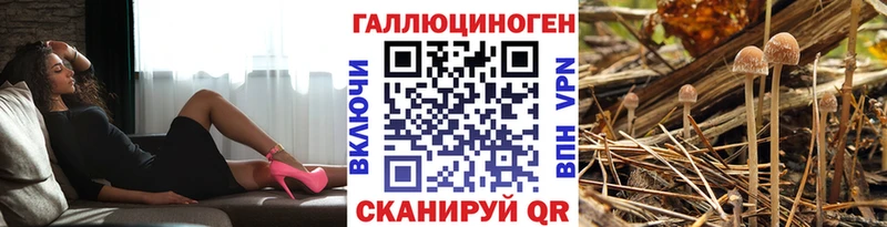 мориарти как зайти  купить  сайты  Болхов  Галлюциногенные грибы мухоморы 